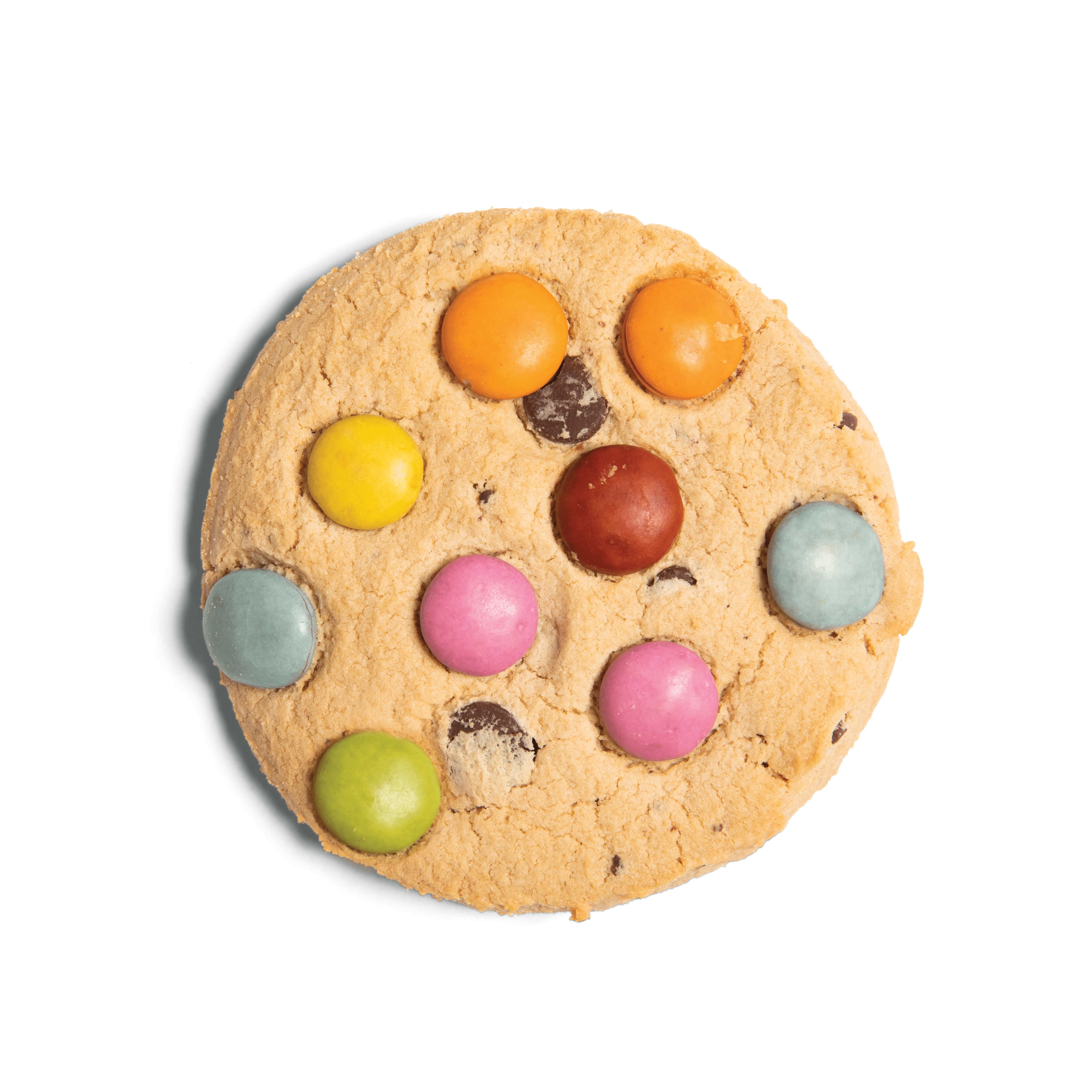 Rainbow Choc Chip
